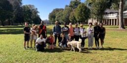 Educational Development